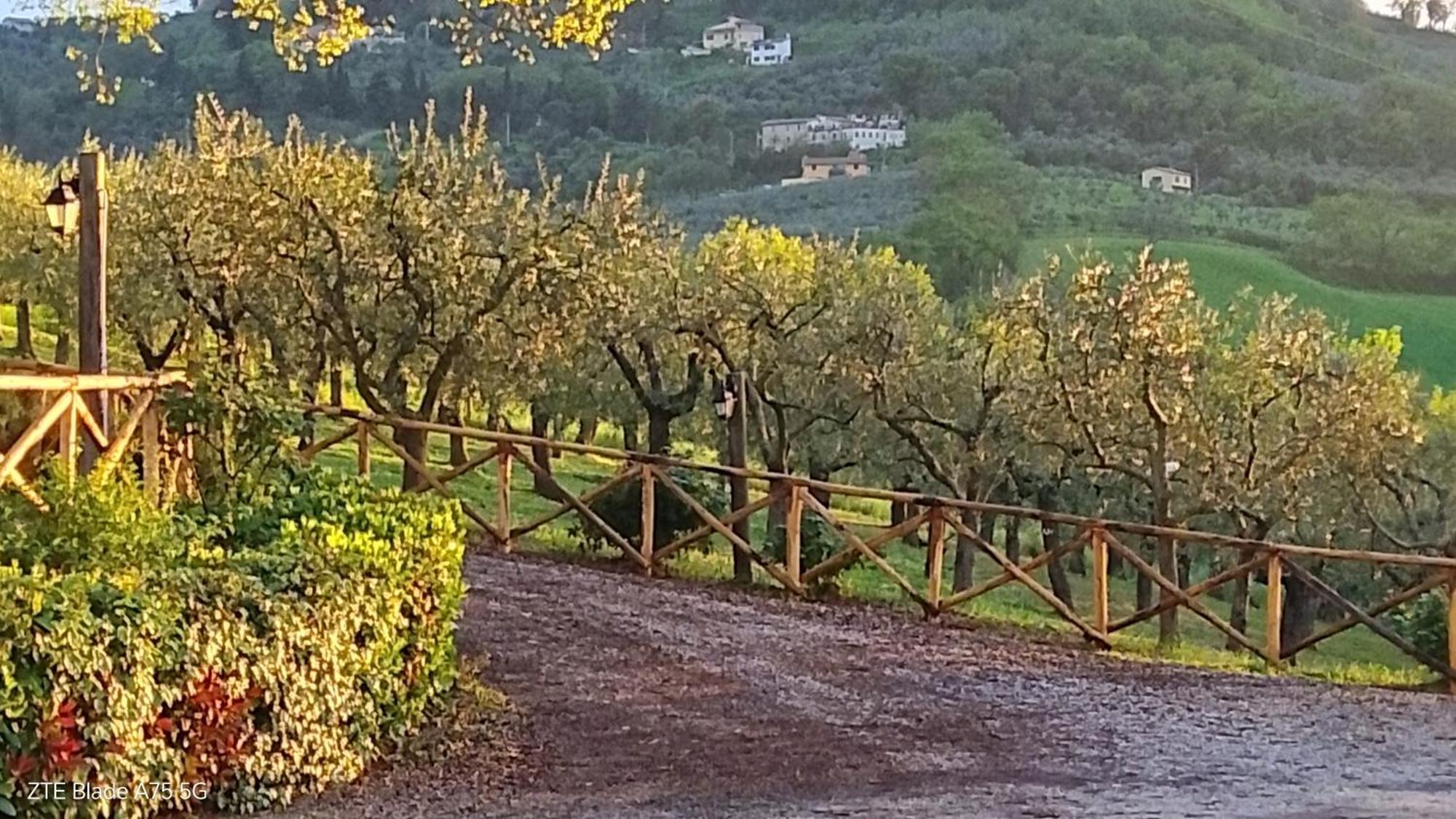 Tenuta Colverano Montefalco Exterior photo
