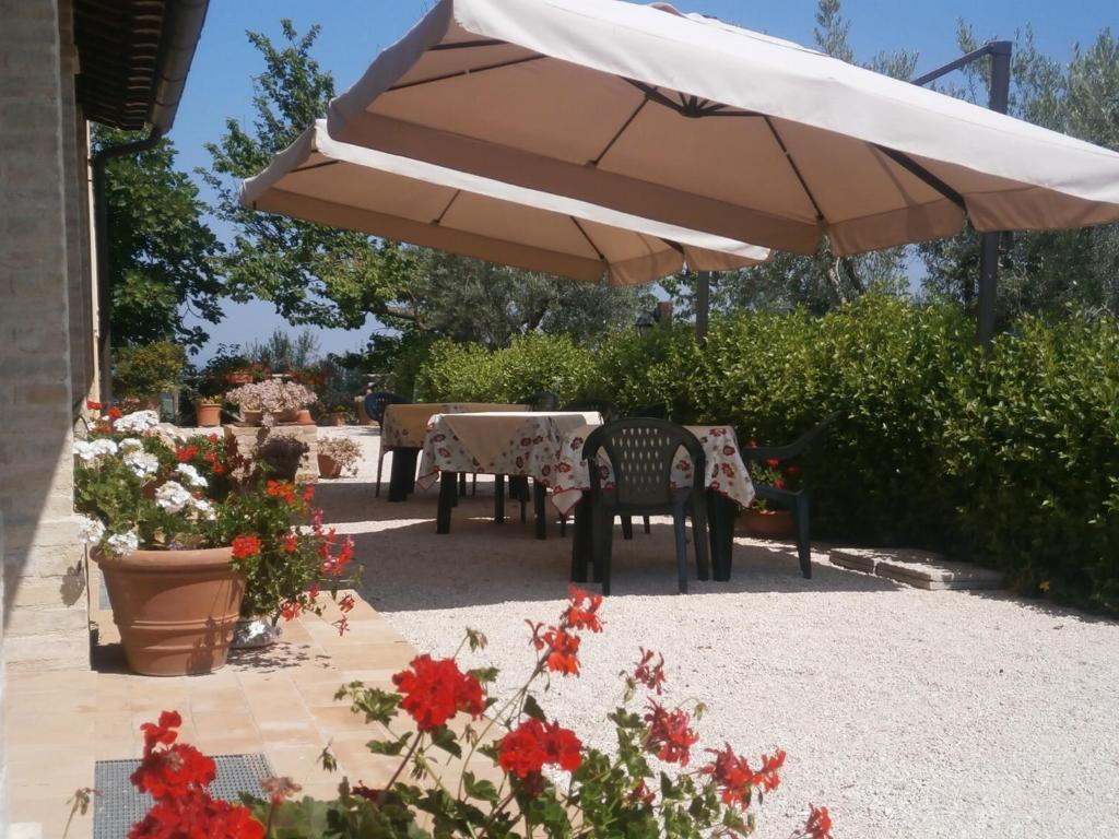 Tenuta Colverano Montefalco Exterior photo