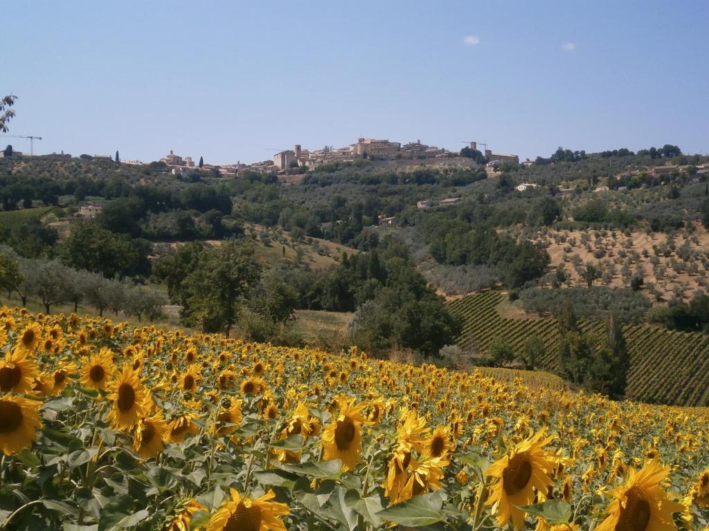 Tenuta Colverano Montefalco Exterior photo