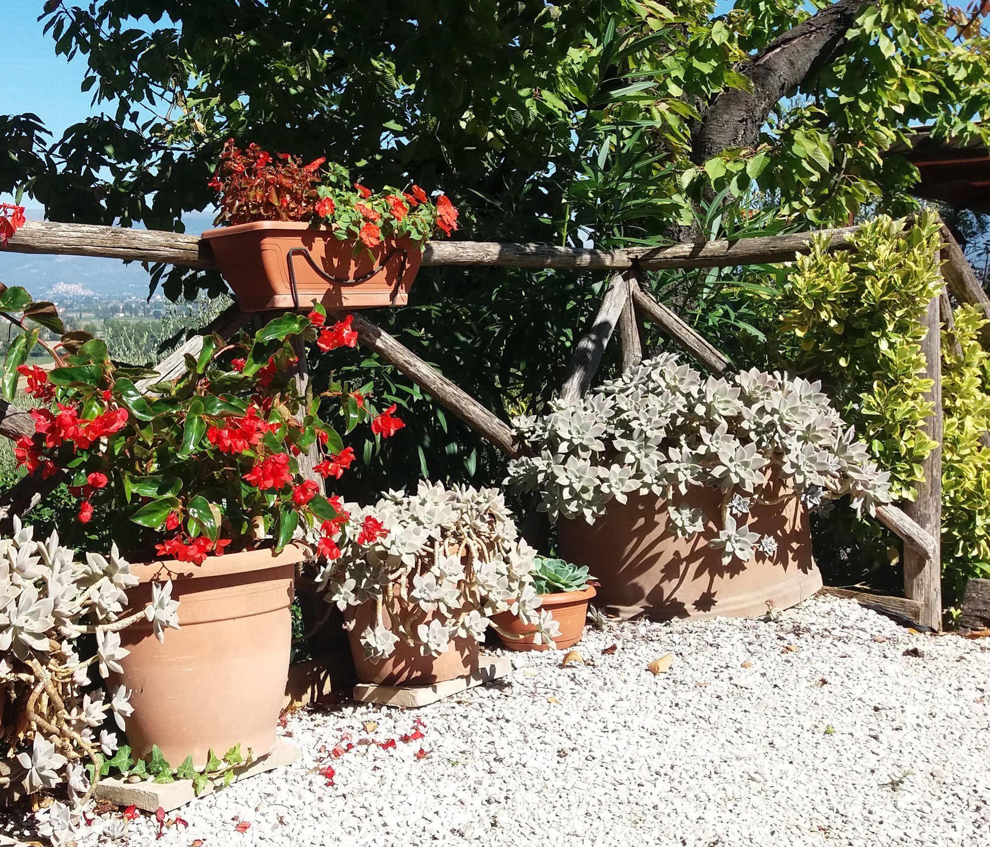 Tenuta Colverano Montefalco Exterior photo